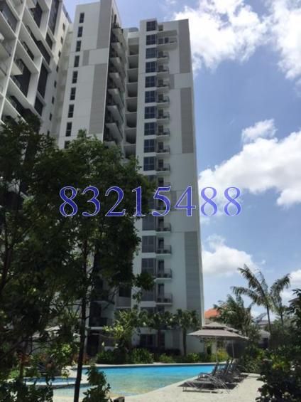 Bartley Ridge thumbnail photo